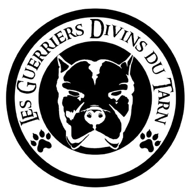 Guerriers Divins Du Tarn
